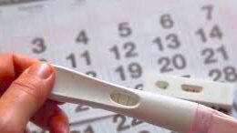 Maximum How Many Days To Confirm Pregnancy