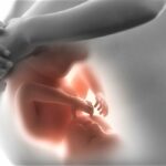 Optimal Prenatal Nutrition Healthy Pregnancy