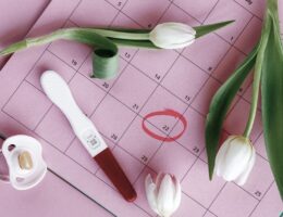 Understanding Your Menstrual Cycle in Week One of Pregnancy