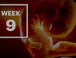 Week 9 Pregnancy: Navigating the Changes and Embracing Growth