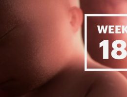 Your Guide to the 18th Week of Pregnancy: Understanding Your Journey