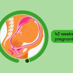 How to manage 42nd Week of Pregnancy: Navigating Through Extended Term