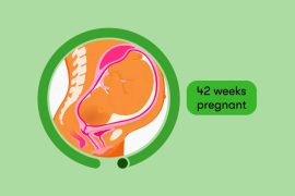 How to manage 42nd Week of Pregnancy: Navigating Through Extended Term